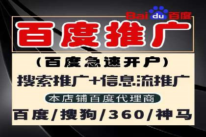 金融行业SEM服务的创新应用与效果